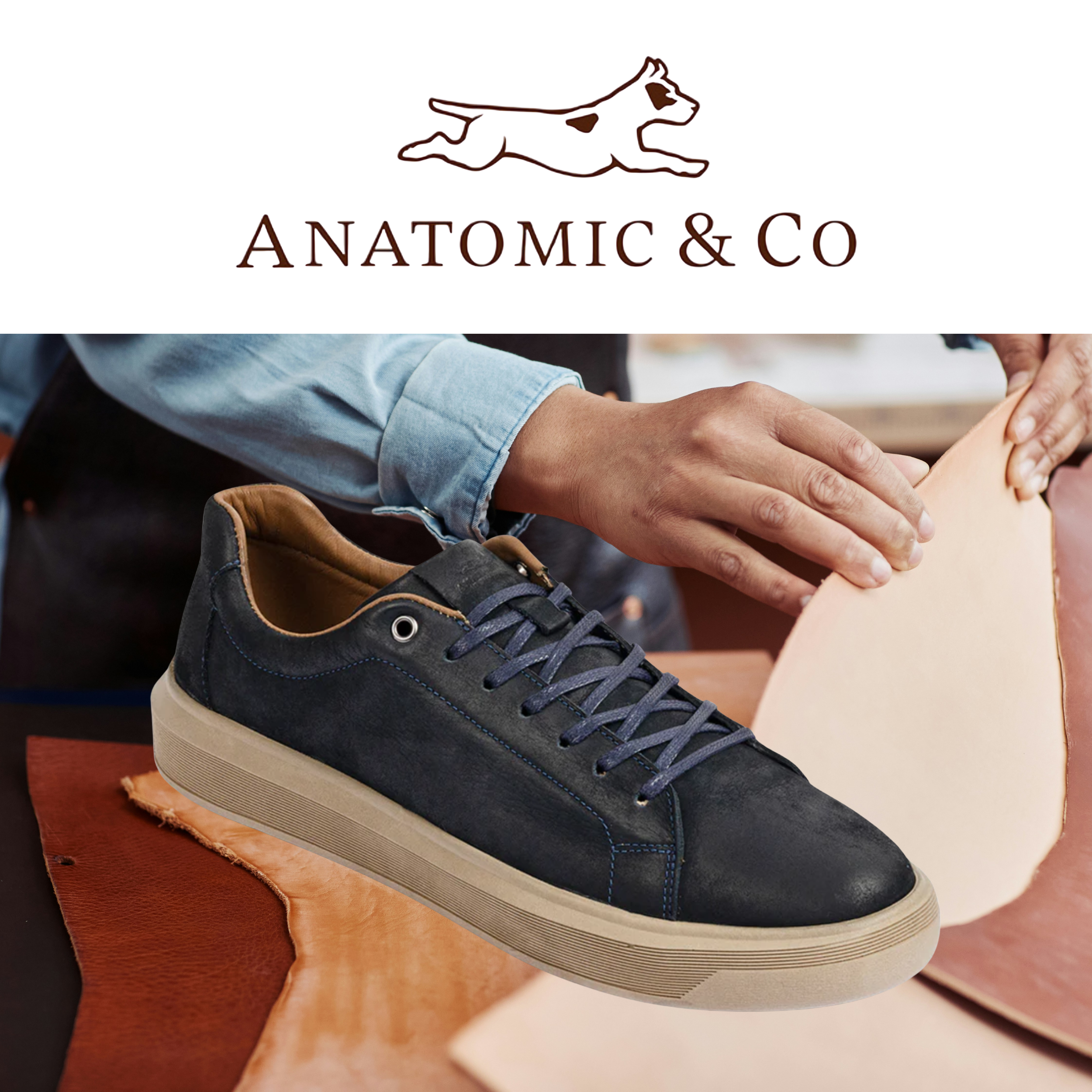 Anatomic & Co.