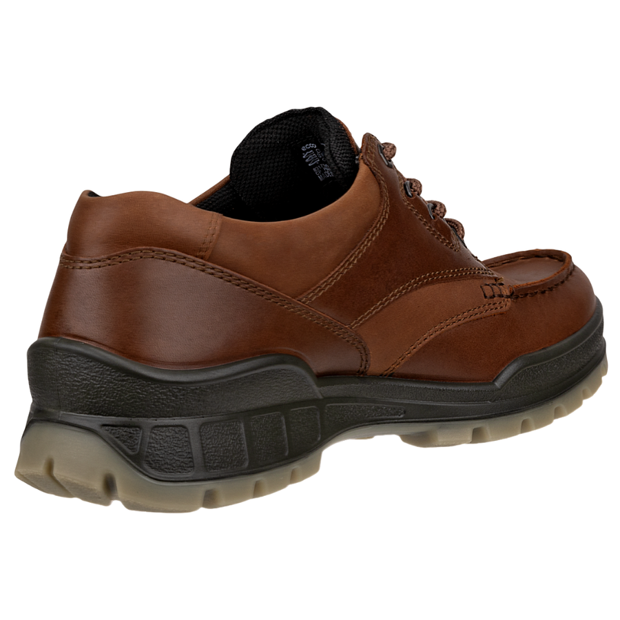 Ecco Track 25 Gore-tex 831714 Brown