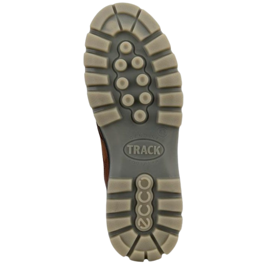 Ecco Track 25 Gore-tex 831714 Brown
