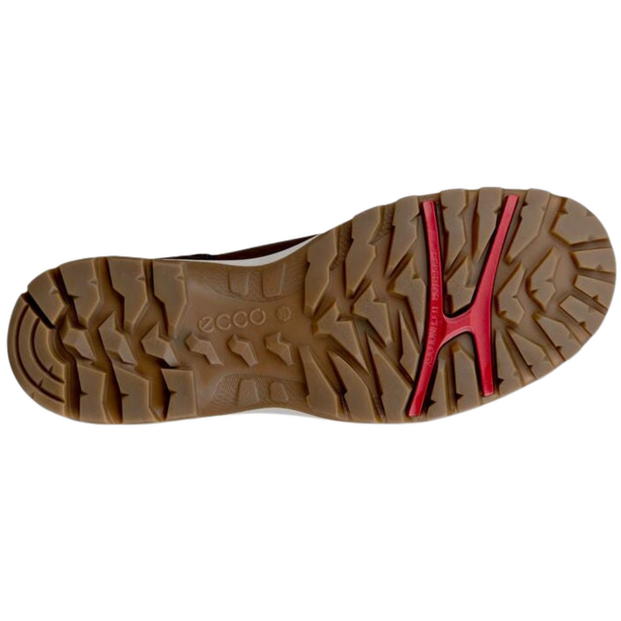 Ecco Xpedition III Waterproof Hi-Top 811413 Brown