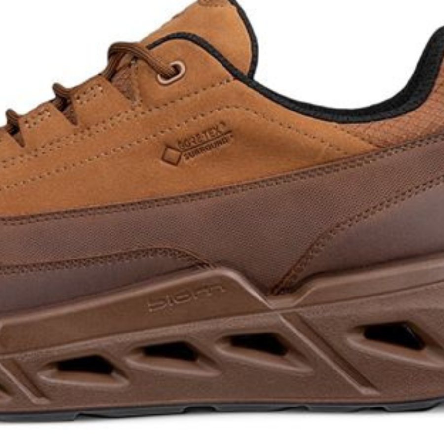 Ecco Biom 720 Gore-Tex Surround 850304 Brown Multicolour